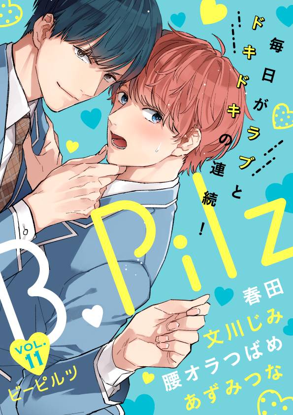 B.Pilz Vol.11