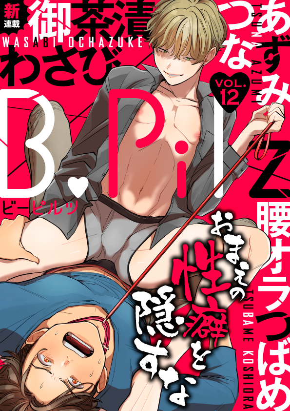 B.Pilz Vol.12