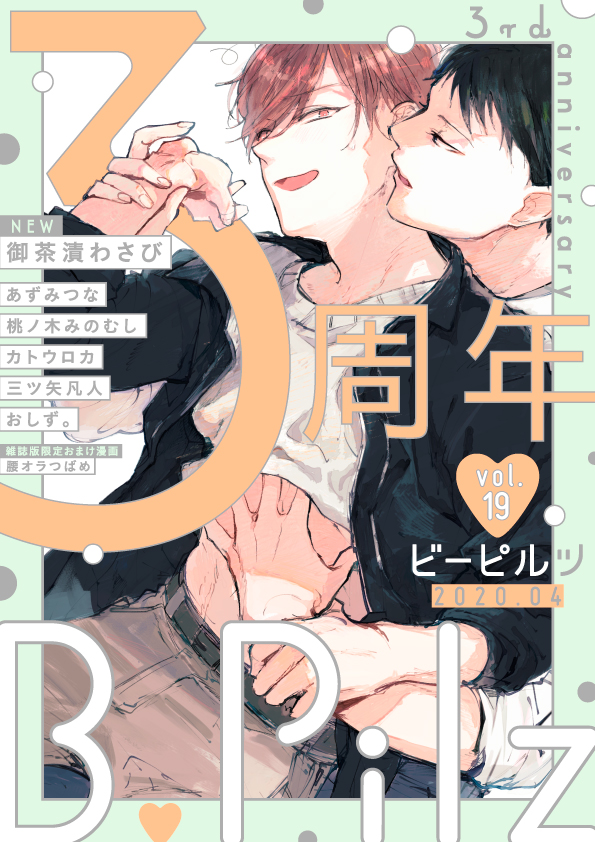 B.Pilz Vol.19
