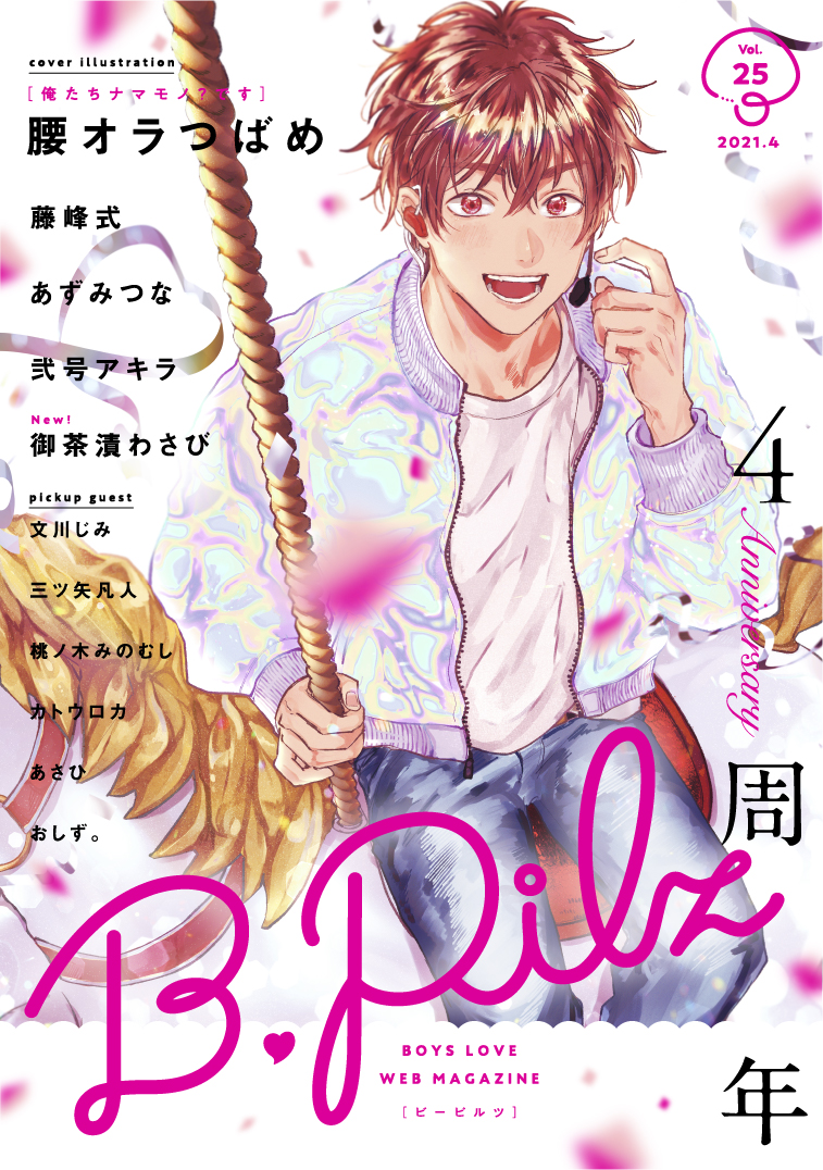 B.Pilz Vol.25