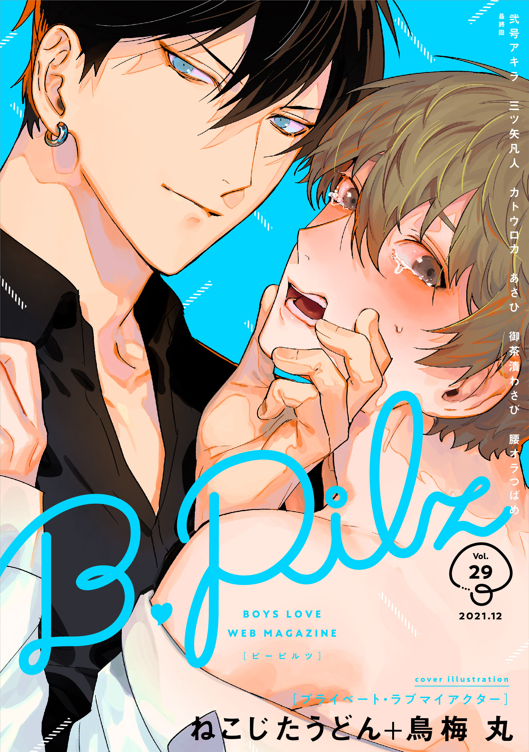 B.Pilz Vol.29